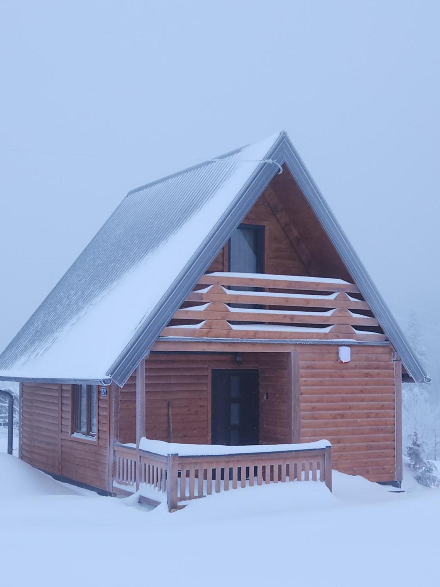 Tamara - Brvnara Za Odmor Holiday home *